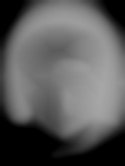 Member Image