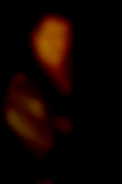 Member Image
