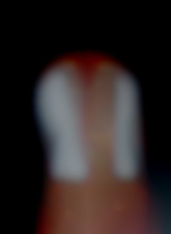 Member Image