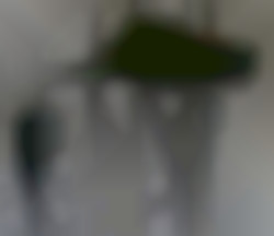 Member Image