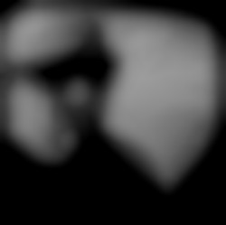 Member Image
