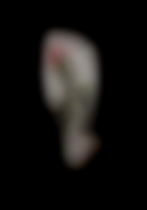 Member Image