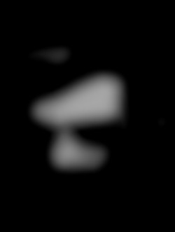 Member Image