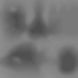 Member Image