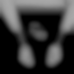 Member Image