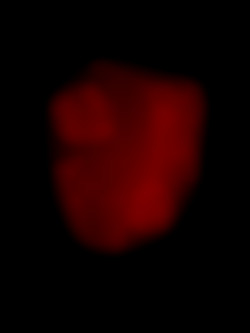 Member Image
