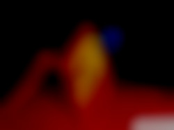 Member Image