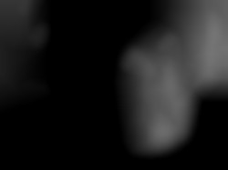 Member Image