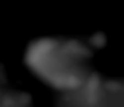 Member Image