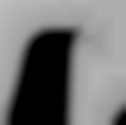 Member Image