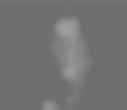 Member Image