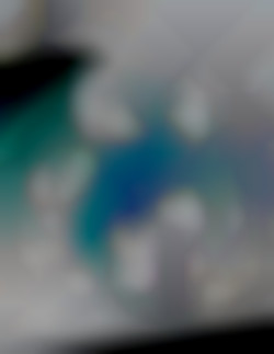 Member Image