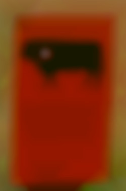Member Image