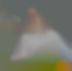 Member Image