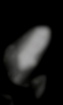 Member Image