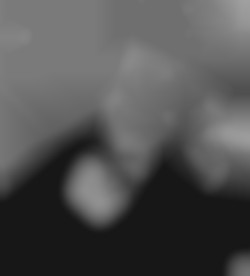 Member Image