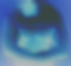 Member Image