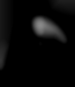 Member Image
