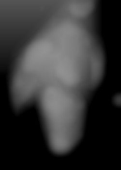 Member Image