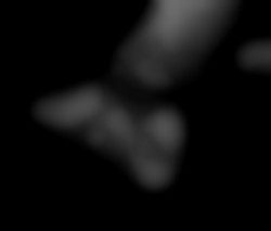 Member Image
