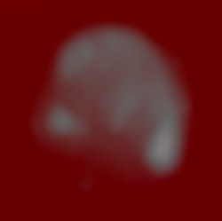 Member Image