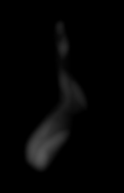 Member Image