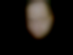 Member Image