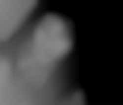Member Image