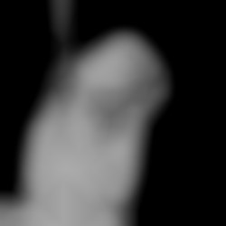 Member Image