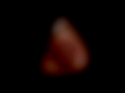 Member Image