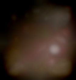Member Image