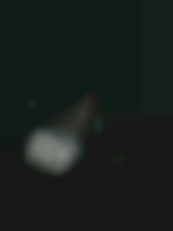 Member Image