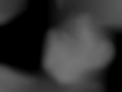 Member Image