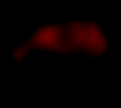Member Image