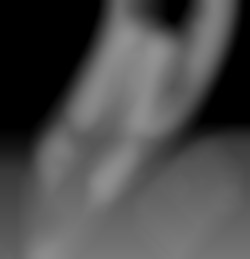 Member Image