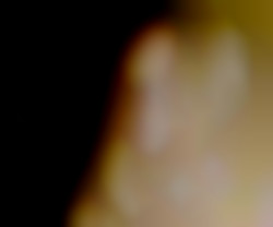 Member Image