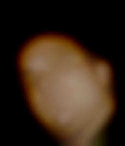 Member Image