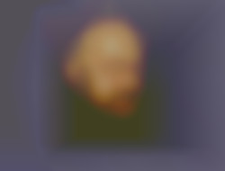 Member Image