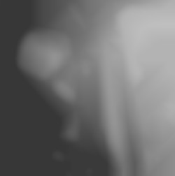 Member Image