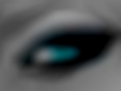 Member Image