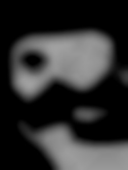Member Image