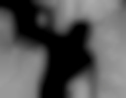 Member Image