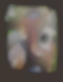 Member Image