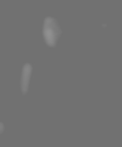 Member Image