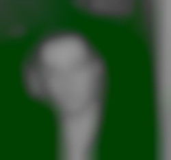 Member Image