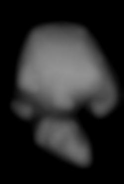 Member Image
