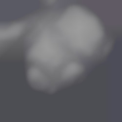 Member Image