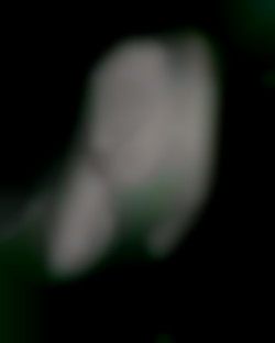 Member Image