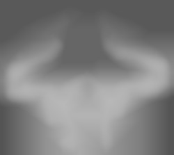 Member Image