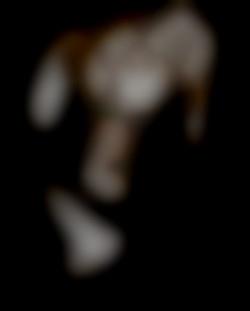 Member Image